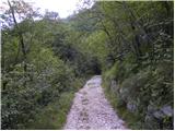 Planina Polog - Source of Tolminka
